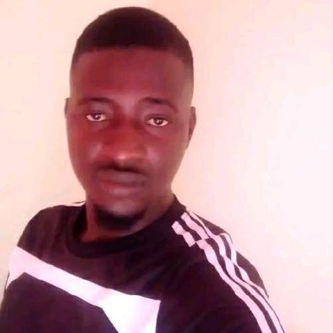 lamin46