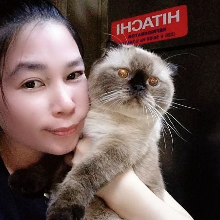 Phoebe32