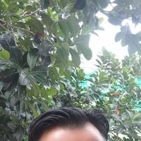 Hega