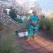 eunice59 is Single in Burlington, North Carolina