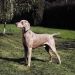 patronage2024 is Single in CHAPEL HILL, North Carolina, 2