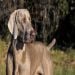 patronage2024 is Single in CHAPEL HILL, North Carolina, 3
