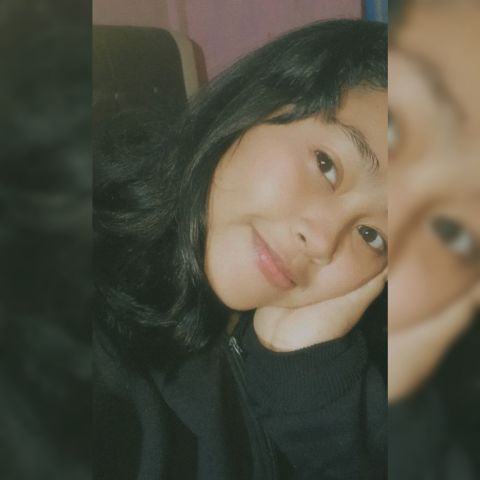 Dianee333