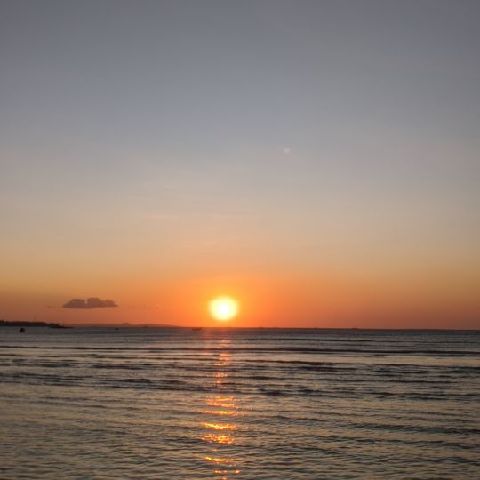 _Anggini