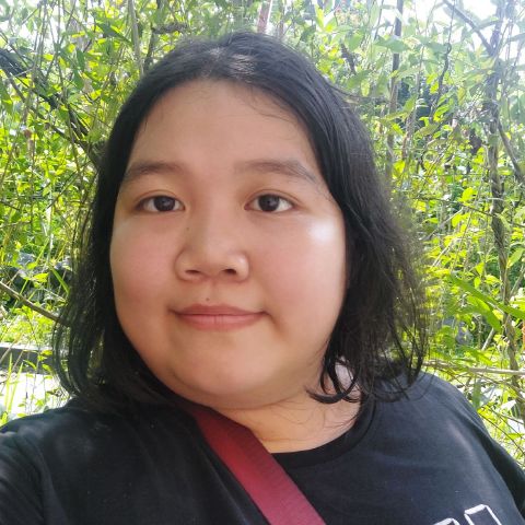 Desylionie