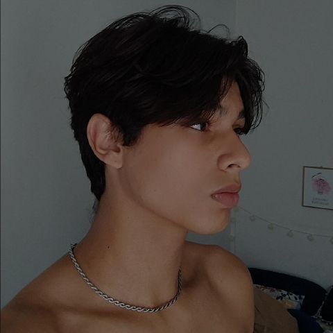 Brunolobato