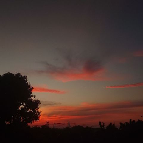 sefasiagian