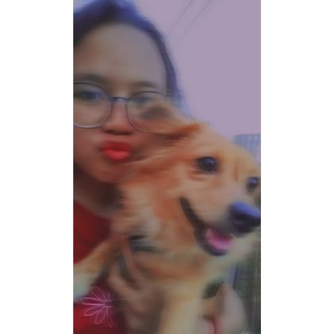 Dinda1115