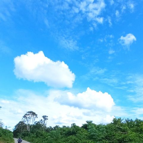 Shella19