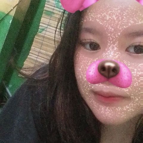 Dewimafia