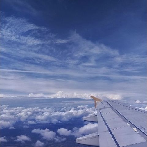 Elaa65