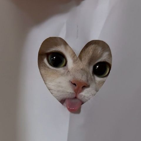 Ynita