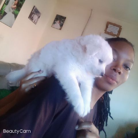 Jemimahbabie