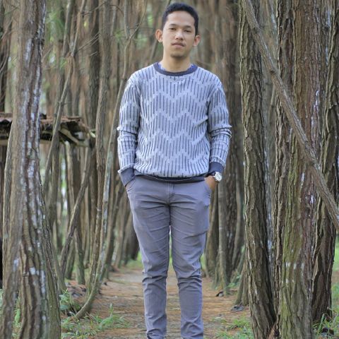 Daus