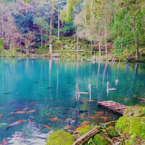 Dams123