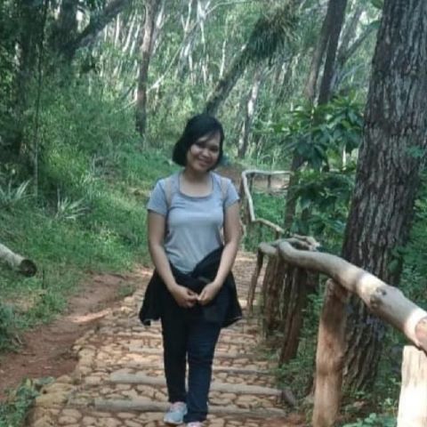 dian1234