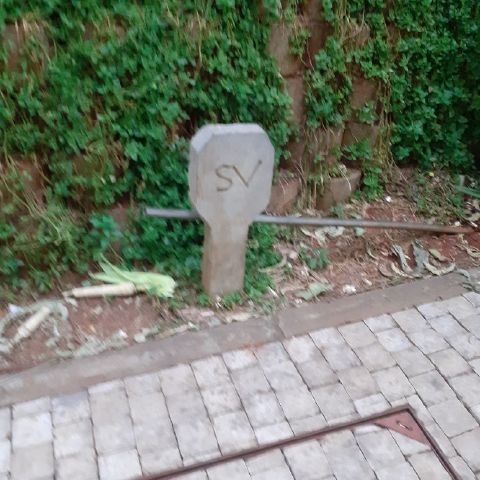 angugo