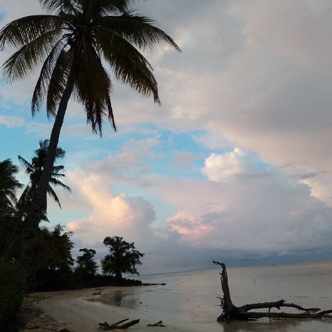 Irmaah