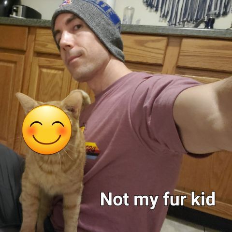 MarkHend85 is Single in Latham, New York, 4