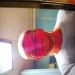 DJBM is Single in Plymouth, Indiana