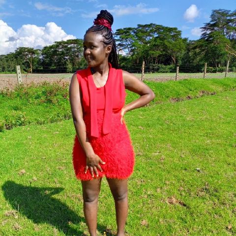 Peris509