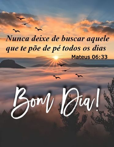 Bonzy17