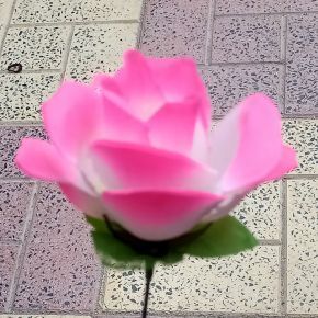 Mariam935