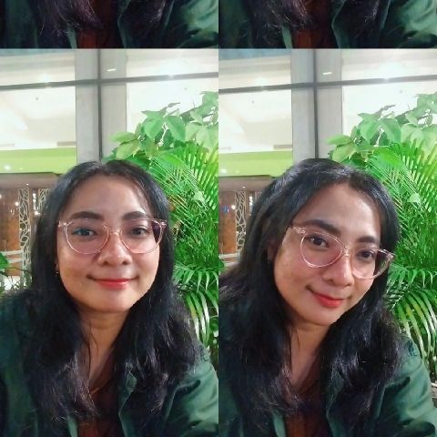 Petclis