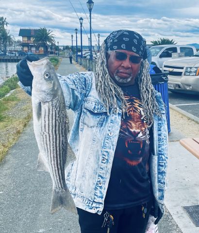 KindGentleman is Single in Vallejo, California, 7