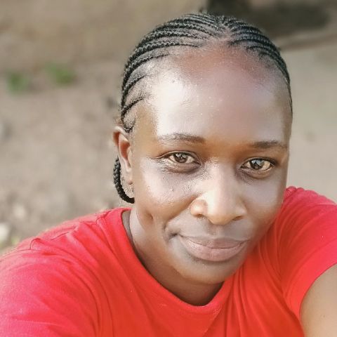 254kenya