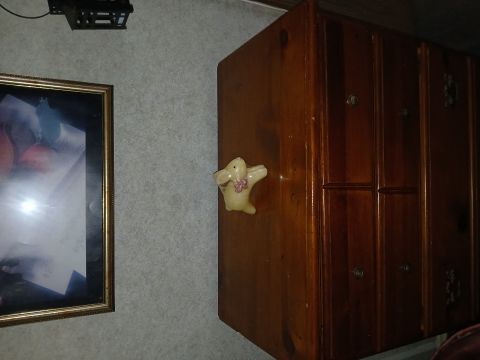 JamesDelopst is Single in Daytona Beach nearest easily recognizable city ..., Florida, 7