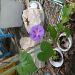 JamesDelopst is Single in Daytona Beach nearest easily recognizable city ..., Florida, 6