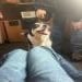 Jacobsii is Single in Watertown, South Dakota, 4