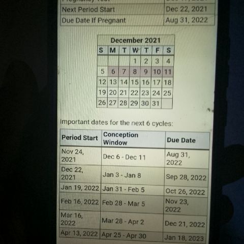 Herb92