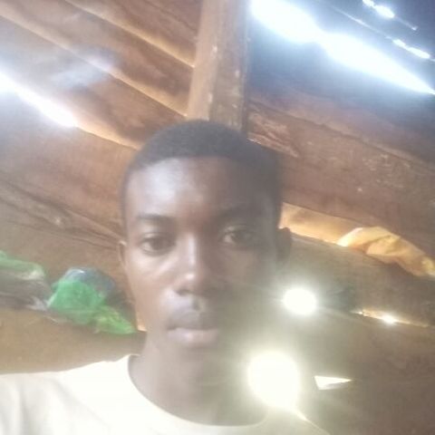 Freda19