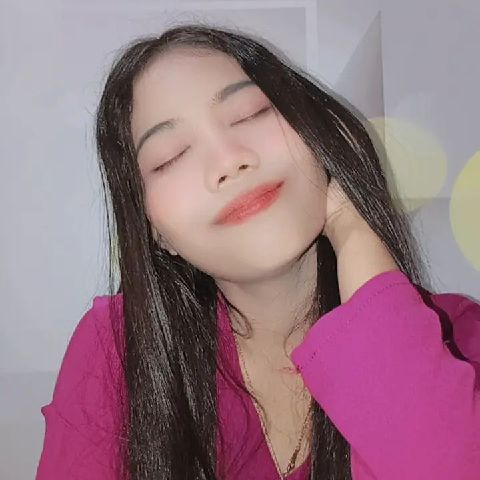 damai498