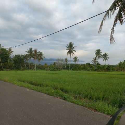 Lisda25