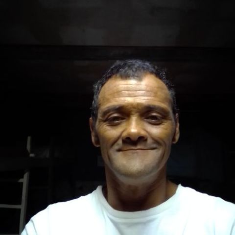 Alvin33