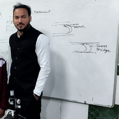 Akash333