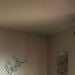 Knowmyworth1 is Single in Reading, Pennsylvania