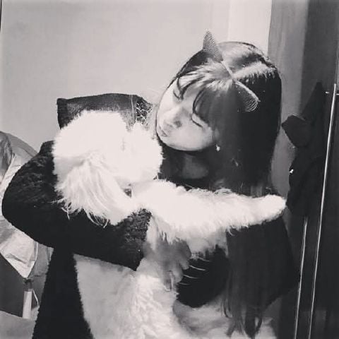 Nesscat
