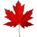 Miloman1 is Single in Pipestone, Manitoba