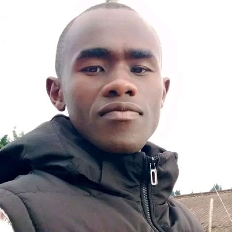 SteveTarus