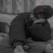Anmol99 is Single in banswara, Rajasthan, 4