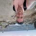 jhall1999 is Single in Fivemiletown, Northern Ireland, 2