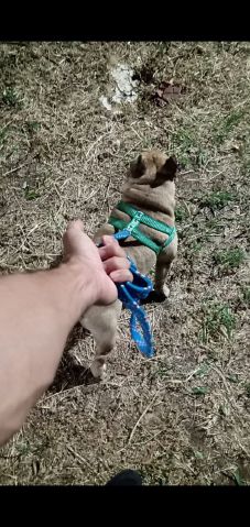 Oliver1000