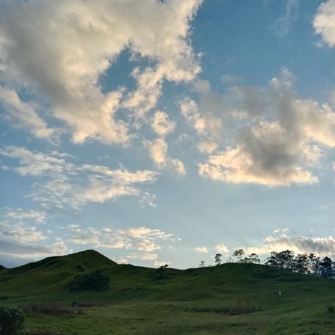 Essangy