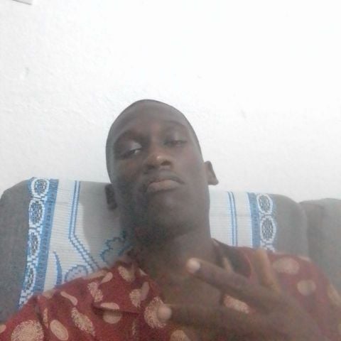 Harris81