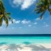 HappyNudistGuy is Single in Cincinnati, Ohio, 1