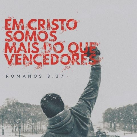 Thiago4477
